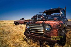 0140-monkey-business