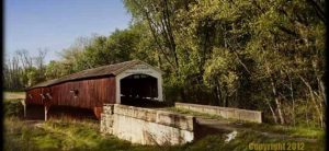 0367 The Kid 0367 The Kid