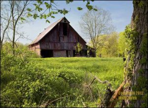 0385-indiana-barn-color