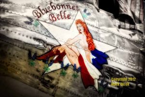 207-bluebonnet-belle
