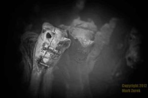 525-sounds-of-silence