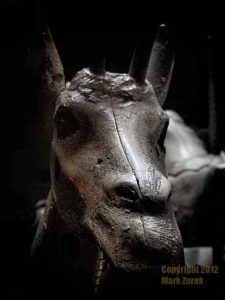 527-the-eyes-have-it